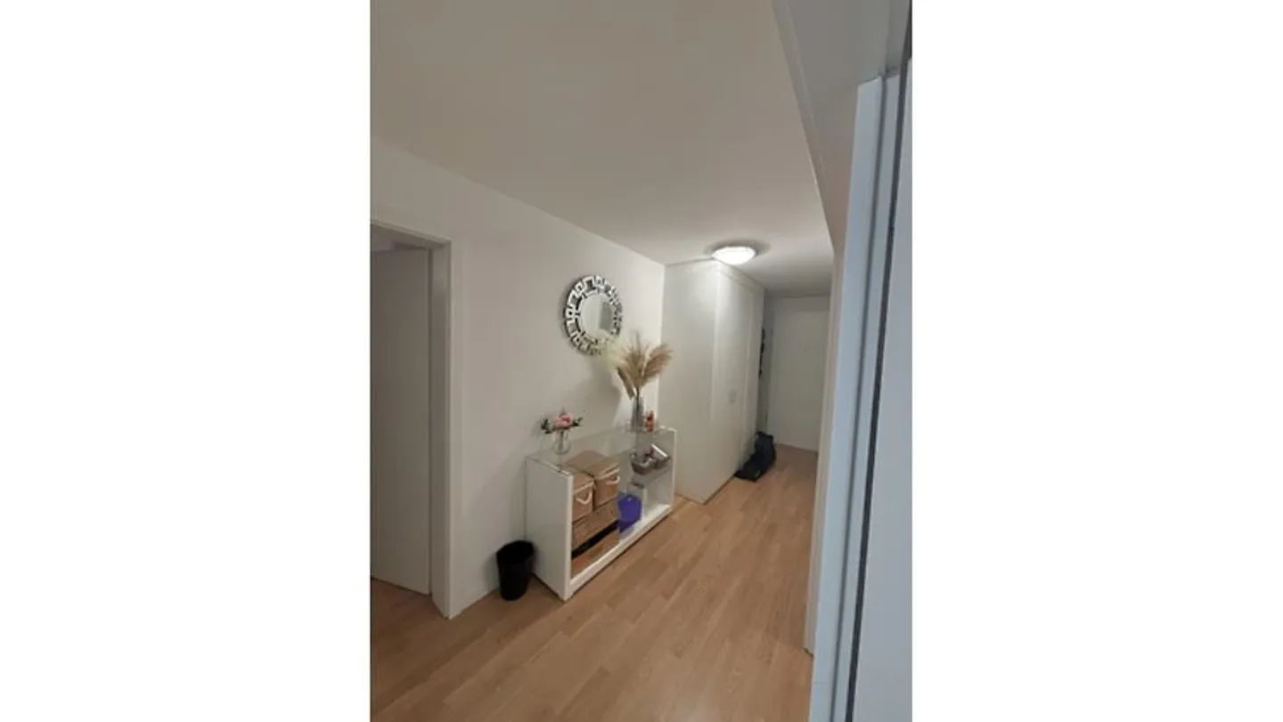3 ROOM APARTMENT IN ZURICH - DISTRICT 11 SEEBACH, FURNISHED, TEMPORARY - Photo 6 of 6