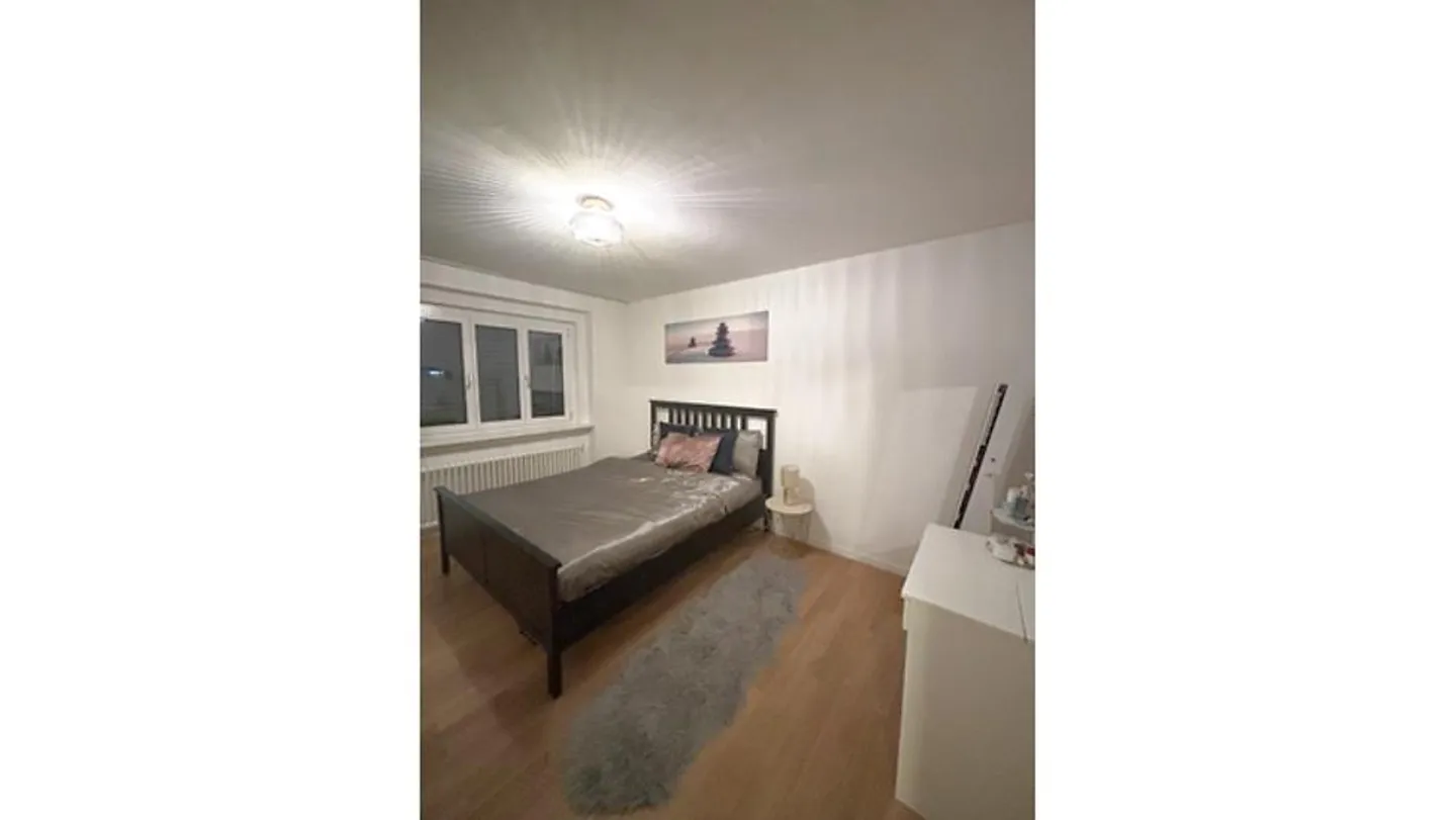 3 ROOM APARTMENT IN ZURICH - DISTRICT 11 SEEBACH, FURNISHED, TEMPORARY - Photo 3 of 6