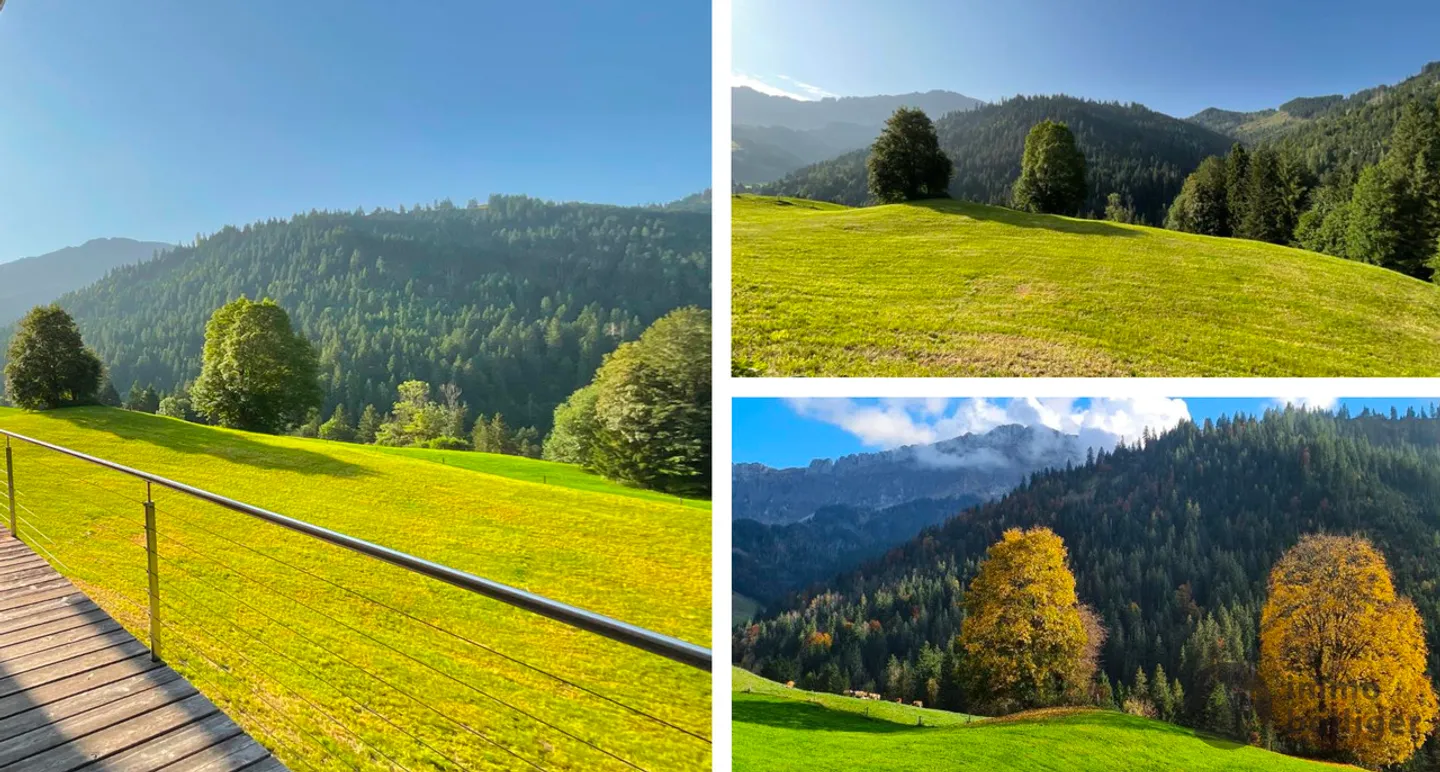 Your retreat with history, mountain view, tranquility, and character - Photo 17 of 19