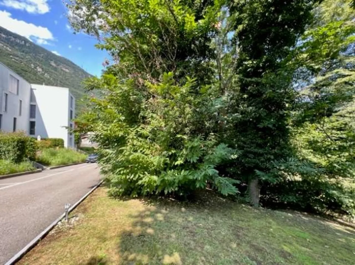 Beautiful 4.5-Room Apartment in the Green - Photo 1 of 20