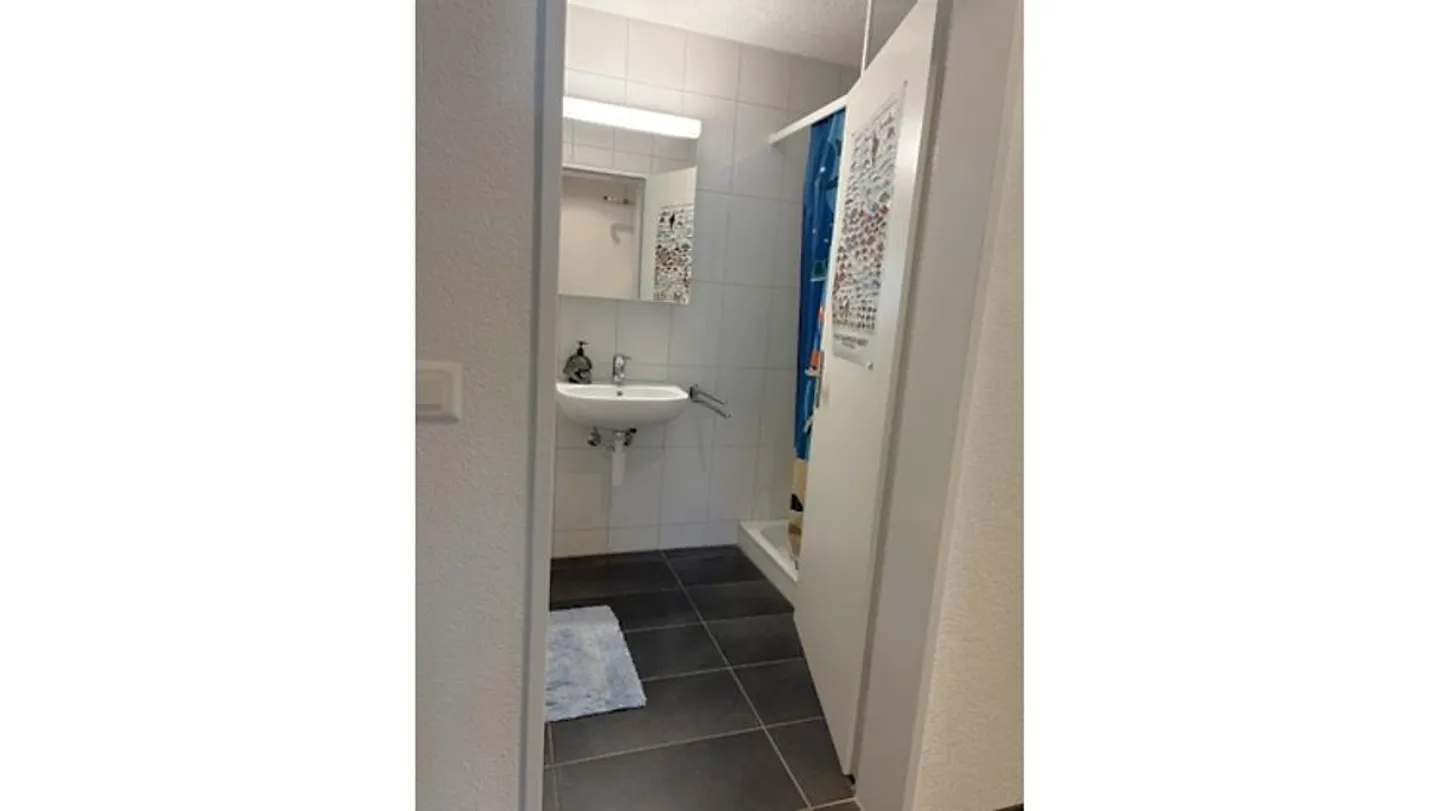 Möblierte Wohnung in Perlen - Foto 8 von 10