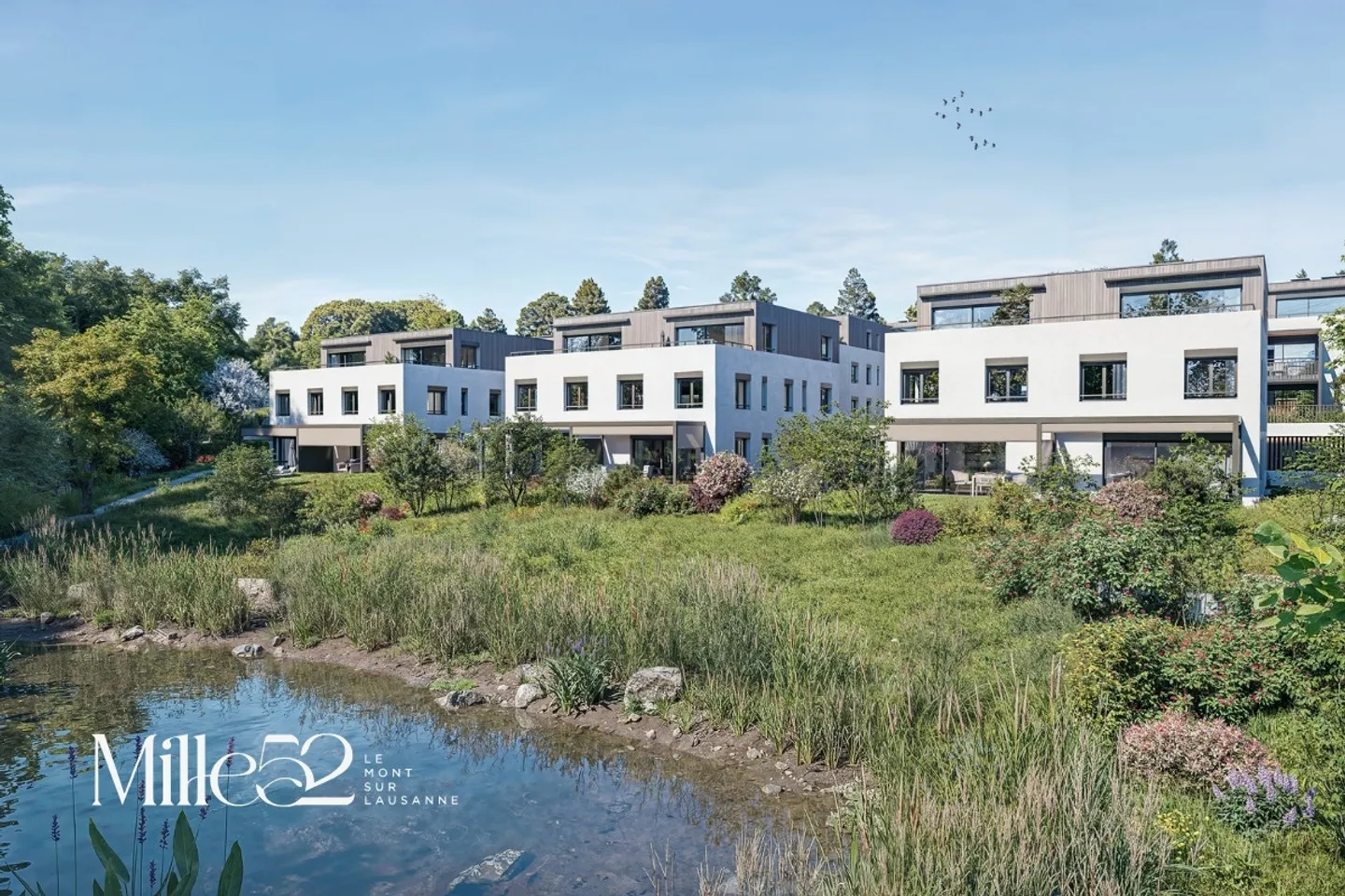 Exceptional Apartments in Mille52 - Photo 3 of 8