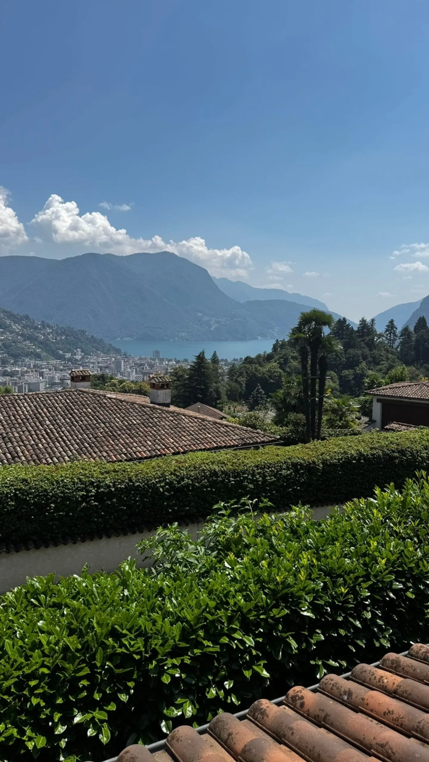 Single-family villa with breathtaking views of Lake Lugano - Photo 10 of 11