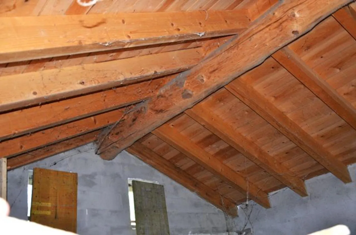 Charming Rustic Retreat in Busio - Photo 8 of 25