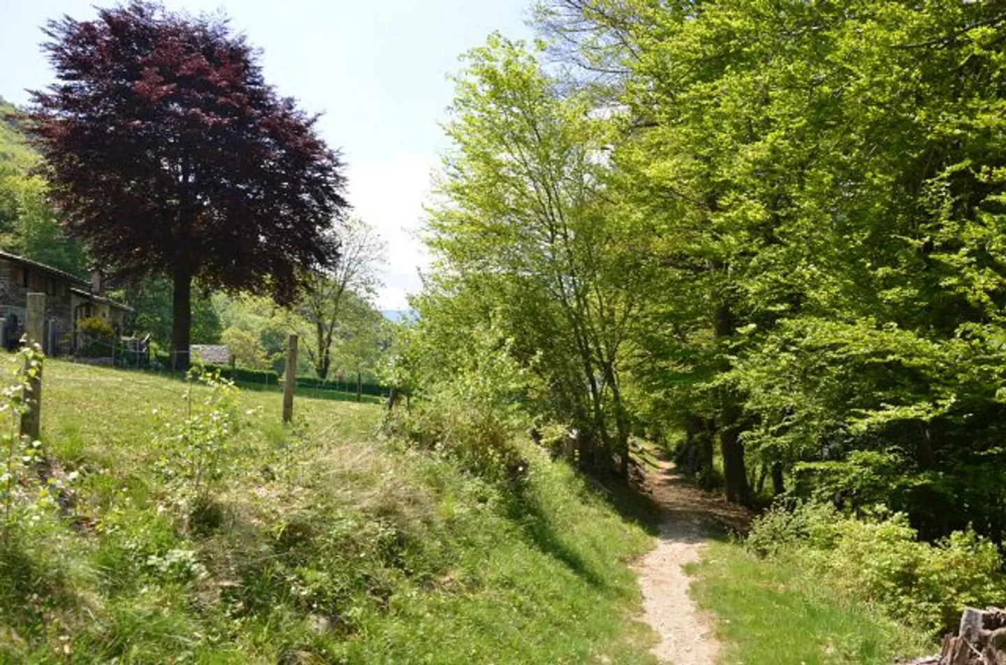 Charming Rustic Retreat in Busio - Photo 11 of 25