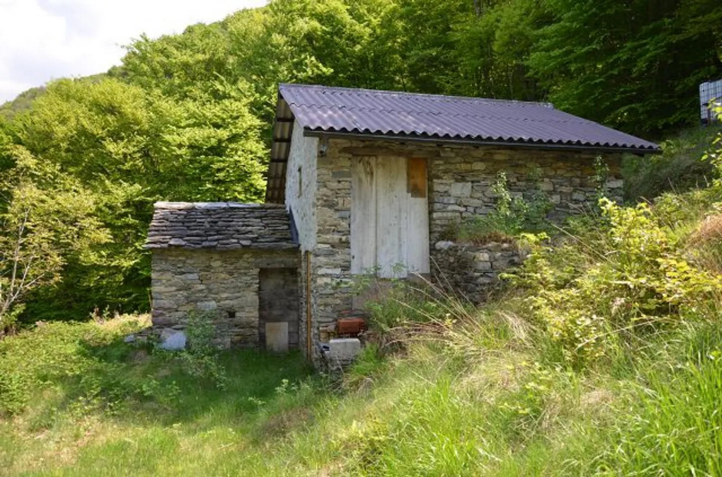 Charming Rustic Retreat in Busio - Photo 16 of 25