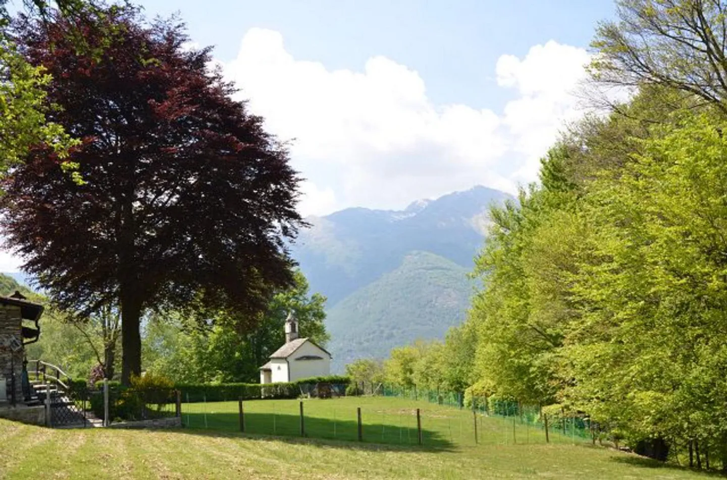 Charming Rustic Retreat in Busio - Photo 19 of 25