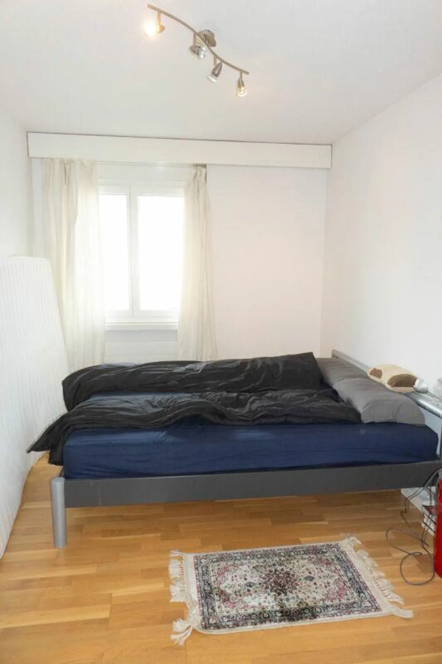 Bright, spacious apartment with sunny balcony - Photo 7 of 8