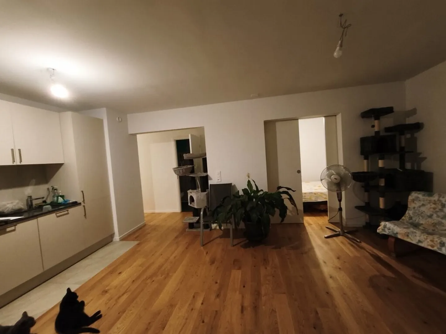 Charming Apartment Near Vevey - Photo 4 of 7