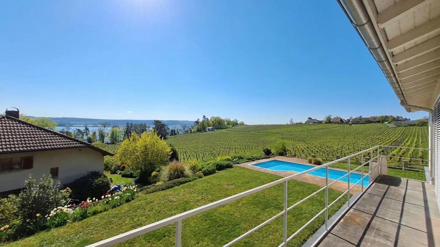 Exceptional villa with spectacular view of the lake and St. Pierre island - Photo 6 of 10