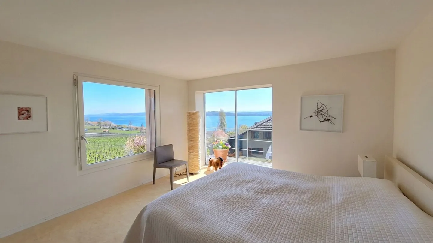 Exceptional villa with spectacular view of the lake and St. Pierre island - Photo 7 of 10