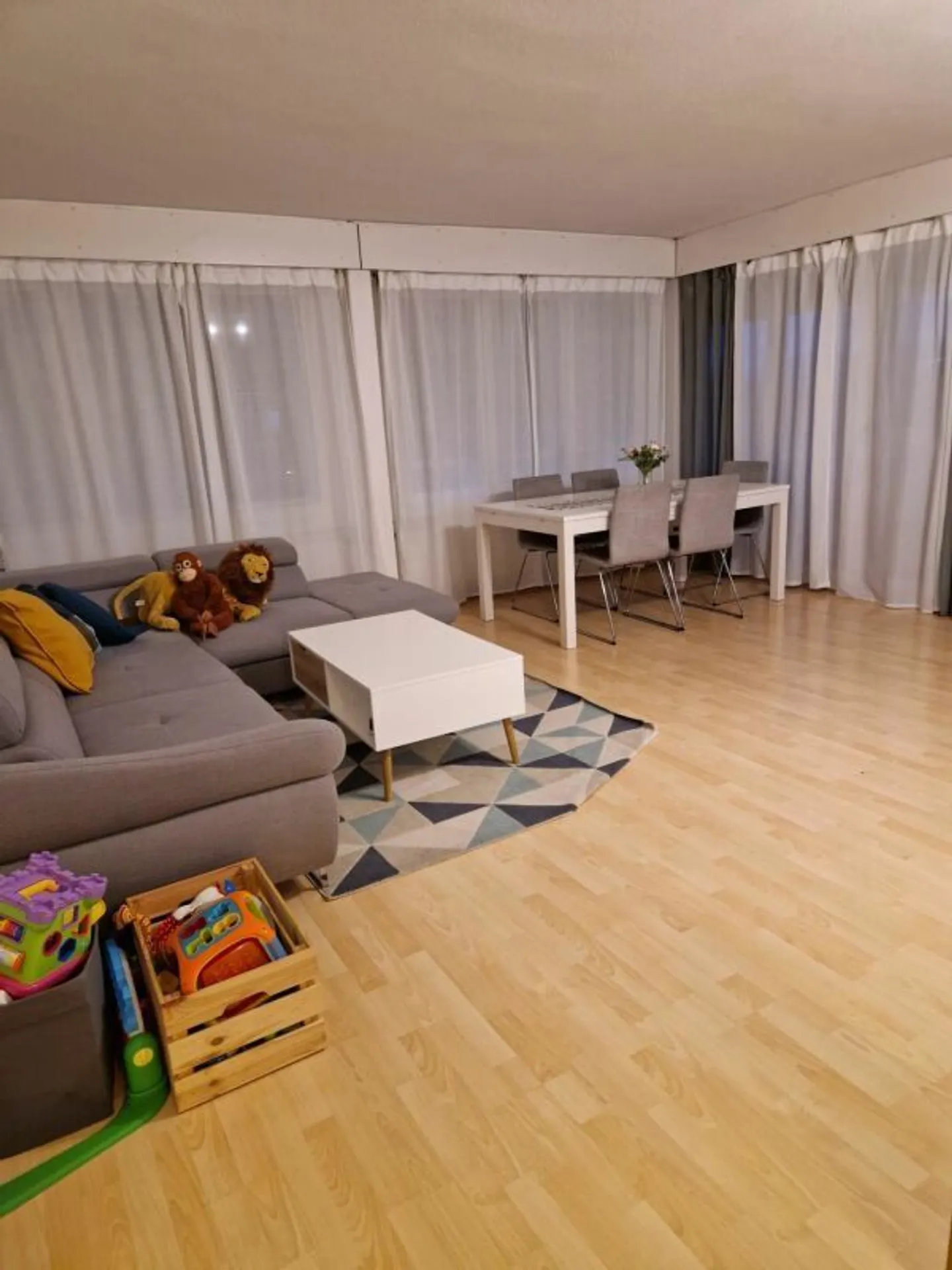 3 1/2 stanze al 1° piano - Foto 2 di 8