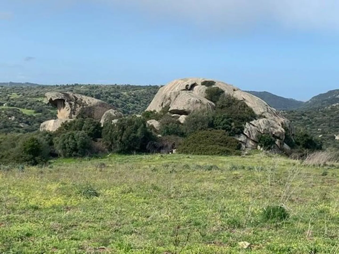 Land Arzachena - Sardinia - Photo 5 of 6