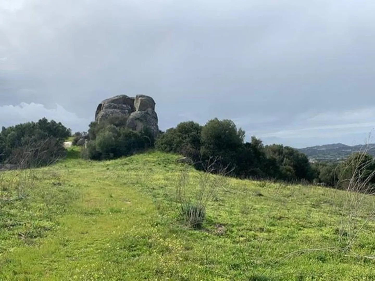 Land Arzachena - Sardinia - Photo 6 of 6