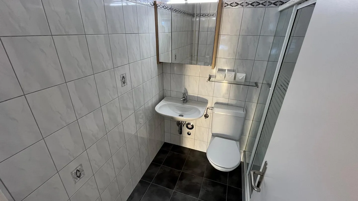 Gemütliche Wohnung im Appenzellerland - Foto 11 von 17