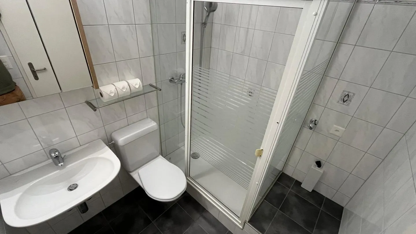 Gemütliche Wohnung im Appenzellerland - Foto 12 von 17