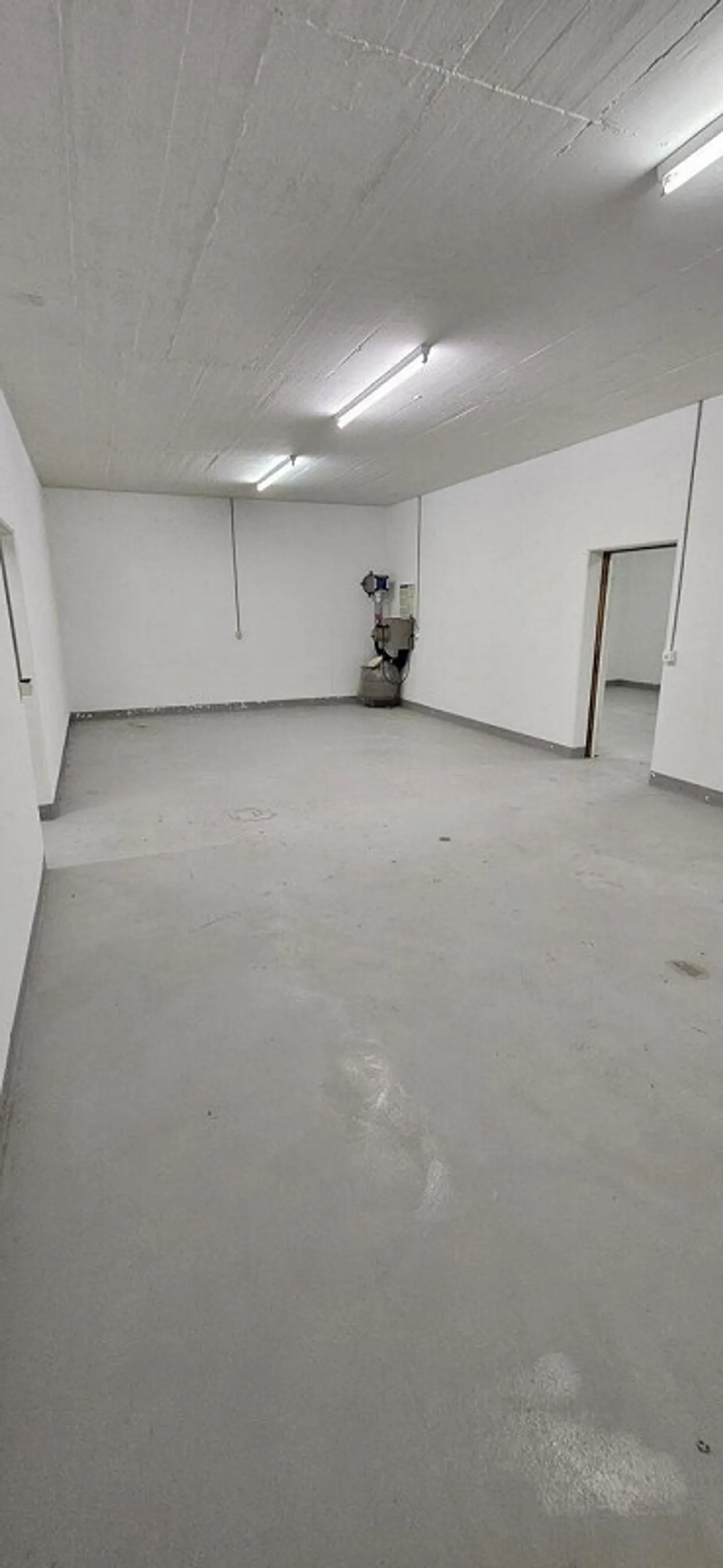 IN AFFITTO Spazio di stoccaggio o archivio a Lucerna - Foto 2 di 6