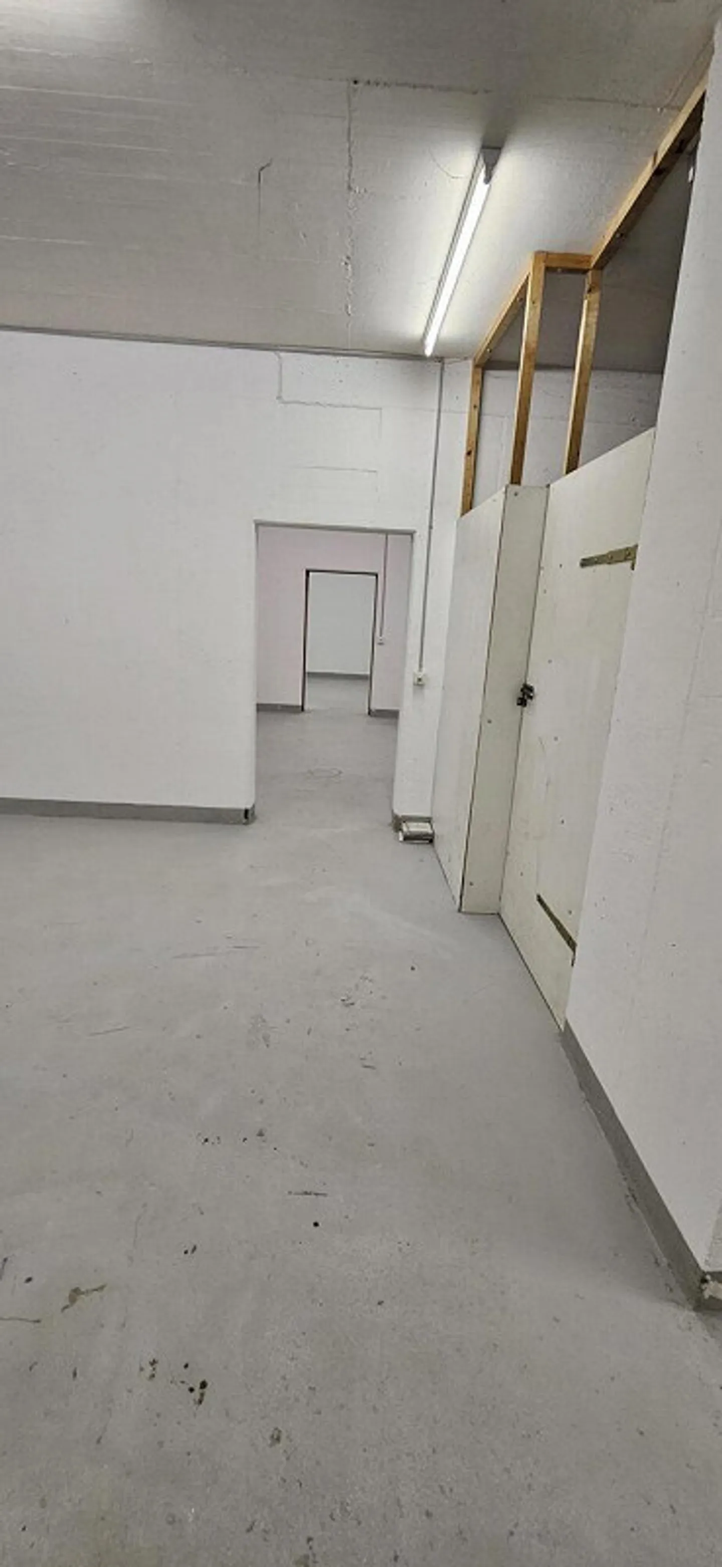 IN AFFITTO Spazio di stoccaggio o archivio a Lucerna - Foto 5 di 6