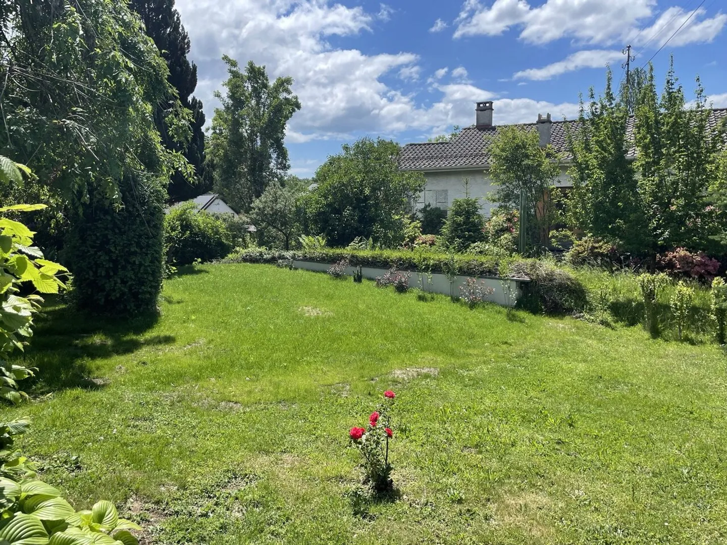 6,5-Zimmer-Haus - Foto 10 von 11