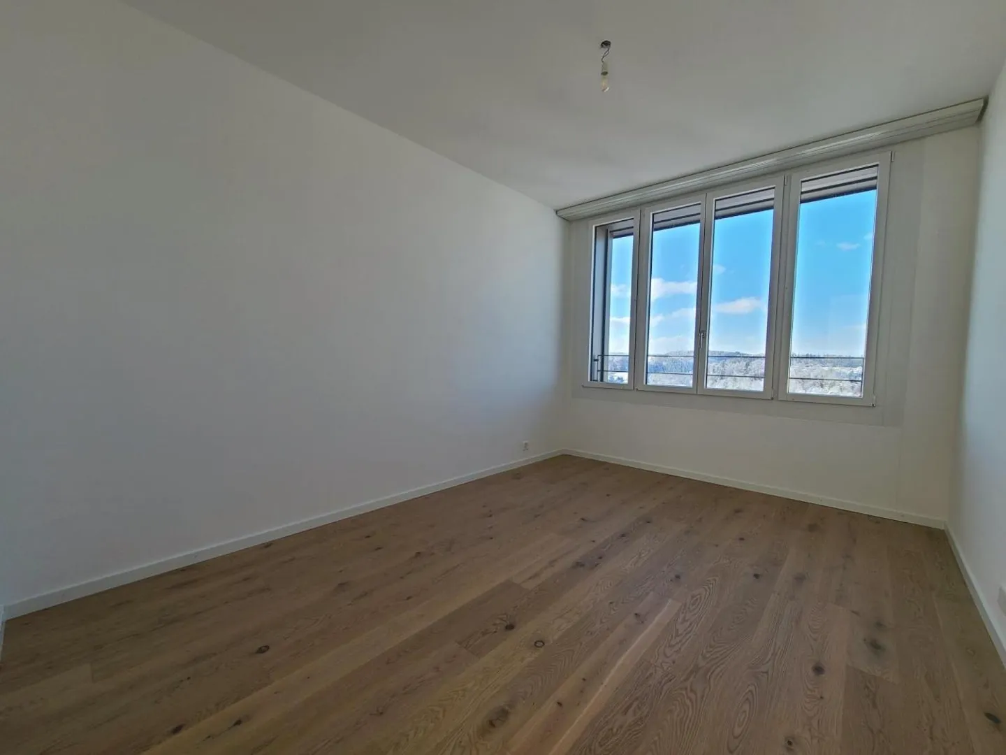 Plugin 4 - 5.5-Room Apartment on the 12th Floor - Photo 11 of 13