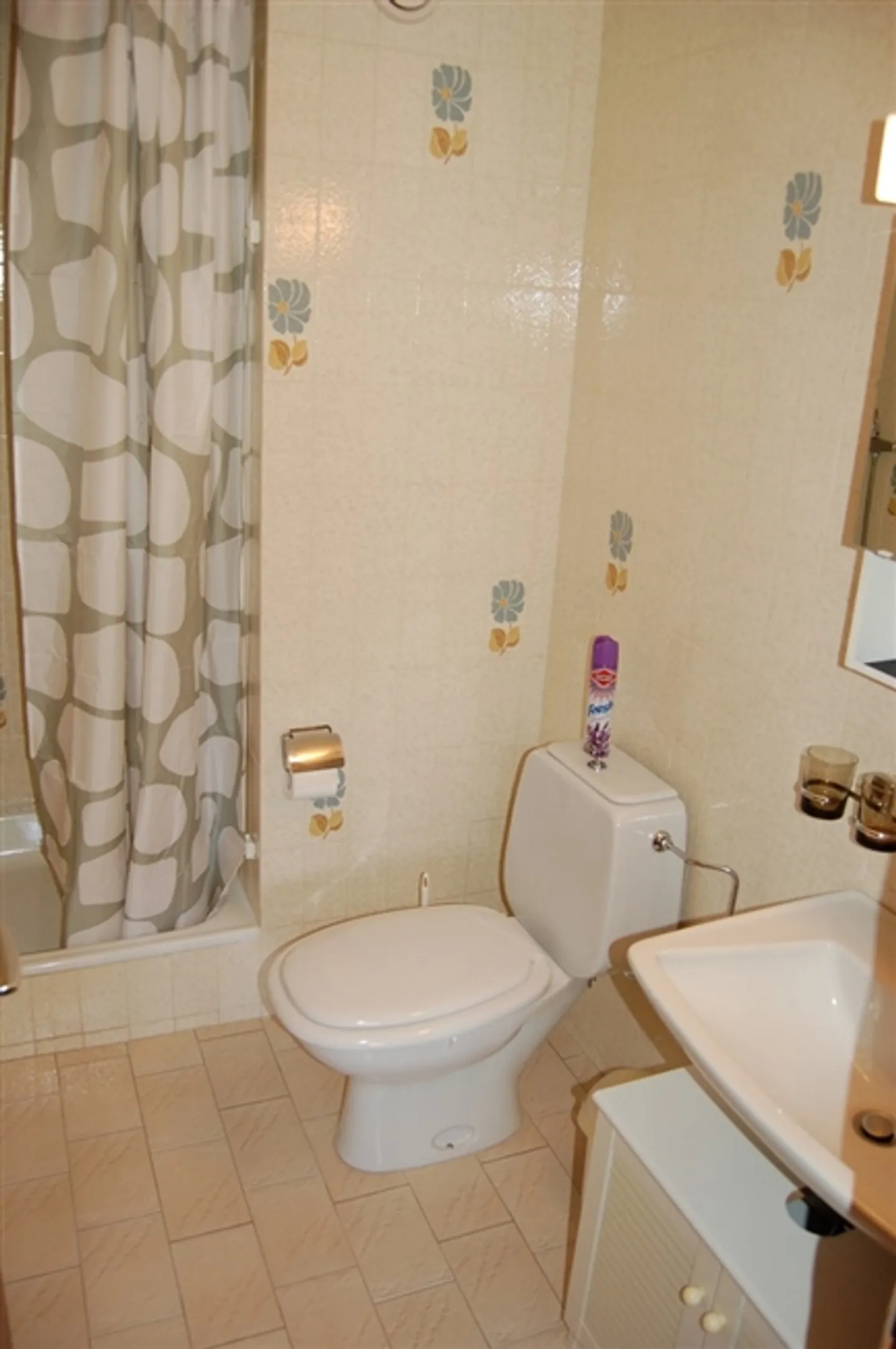 «Ab 01.05.26 Studio Margueron n° 264 im Zentrum von Vercorin» - Foto 5 von 6