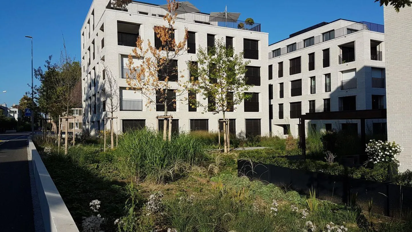 Vivere desiderabile sul Reno - La tua opportunità unica! - Foto 2 di 12