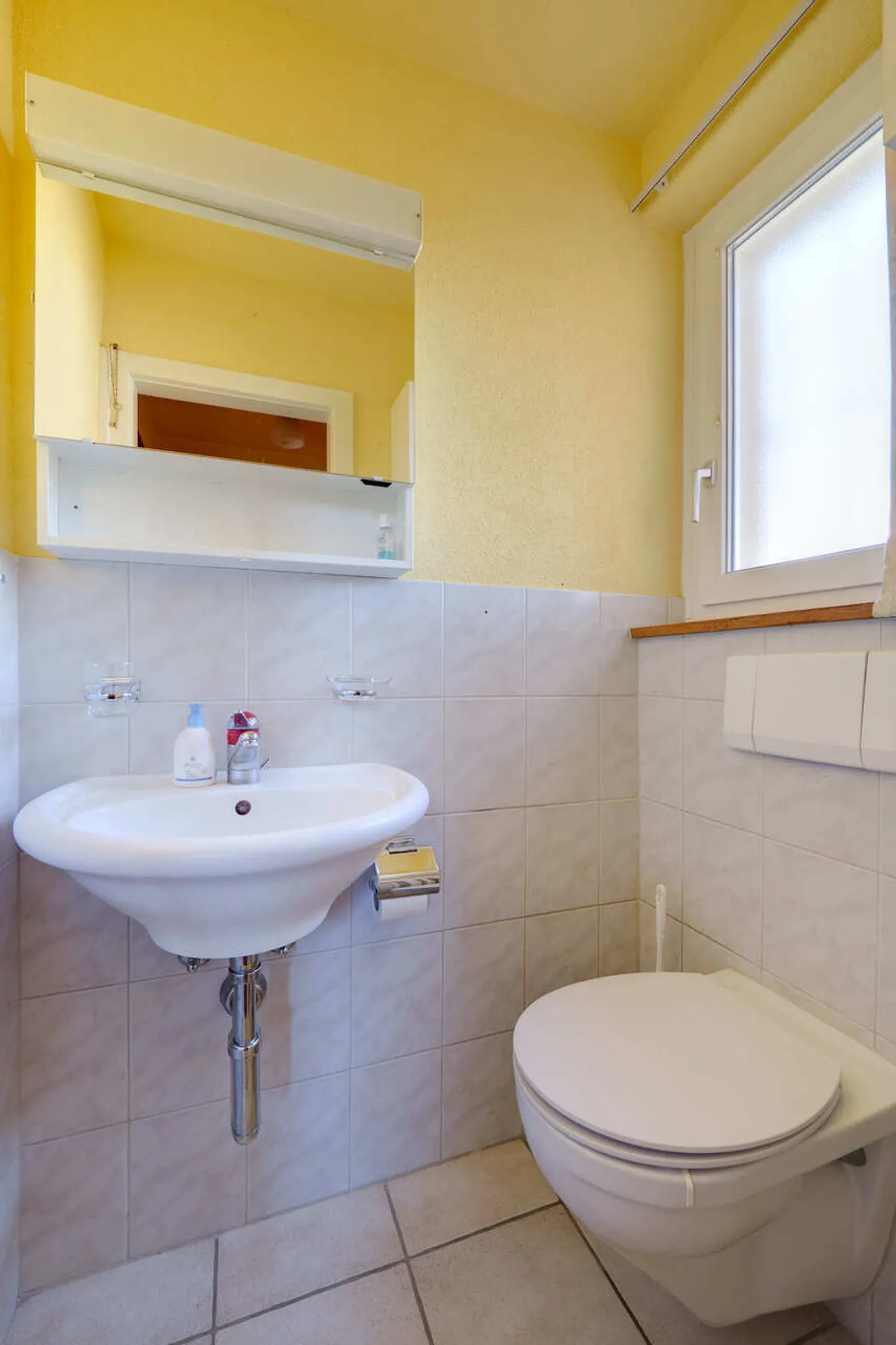 Family Paradise - Photo 10 of 17