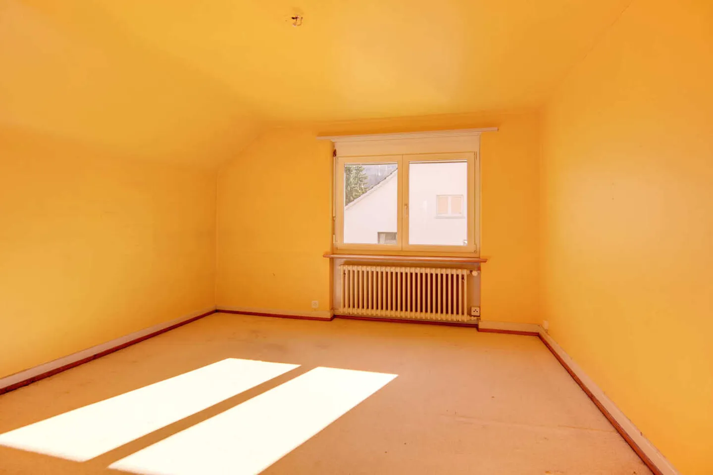 Family Paradise - Photo 11 of 17