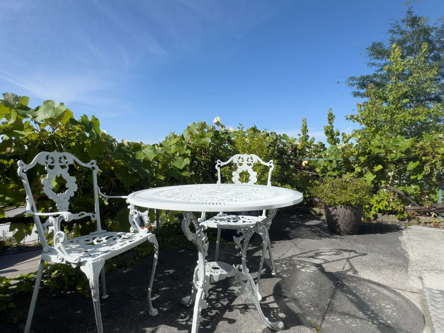 Casa unifamiliare a schiera di 6,5 stanze con vista splendida nella migliore zona residenziale - Foto 11 di 38