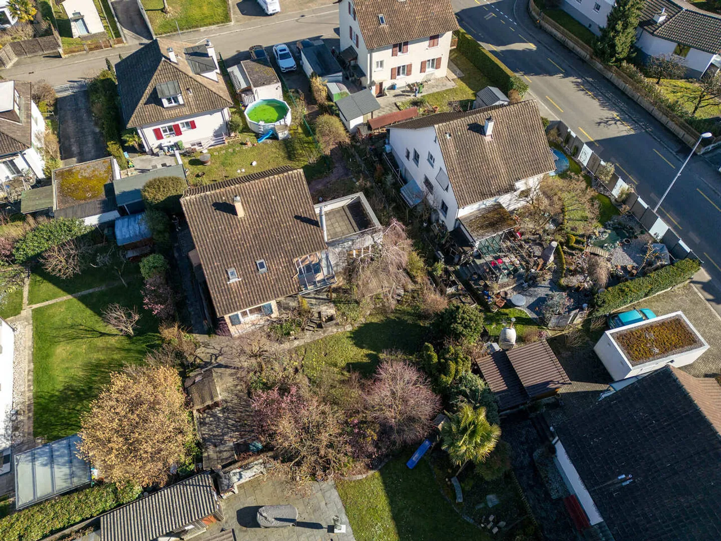 Family Paradise - Photo 3 of 17