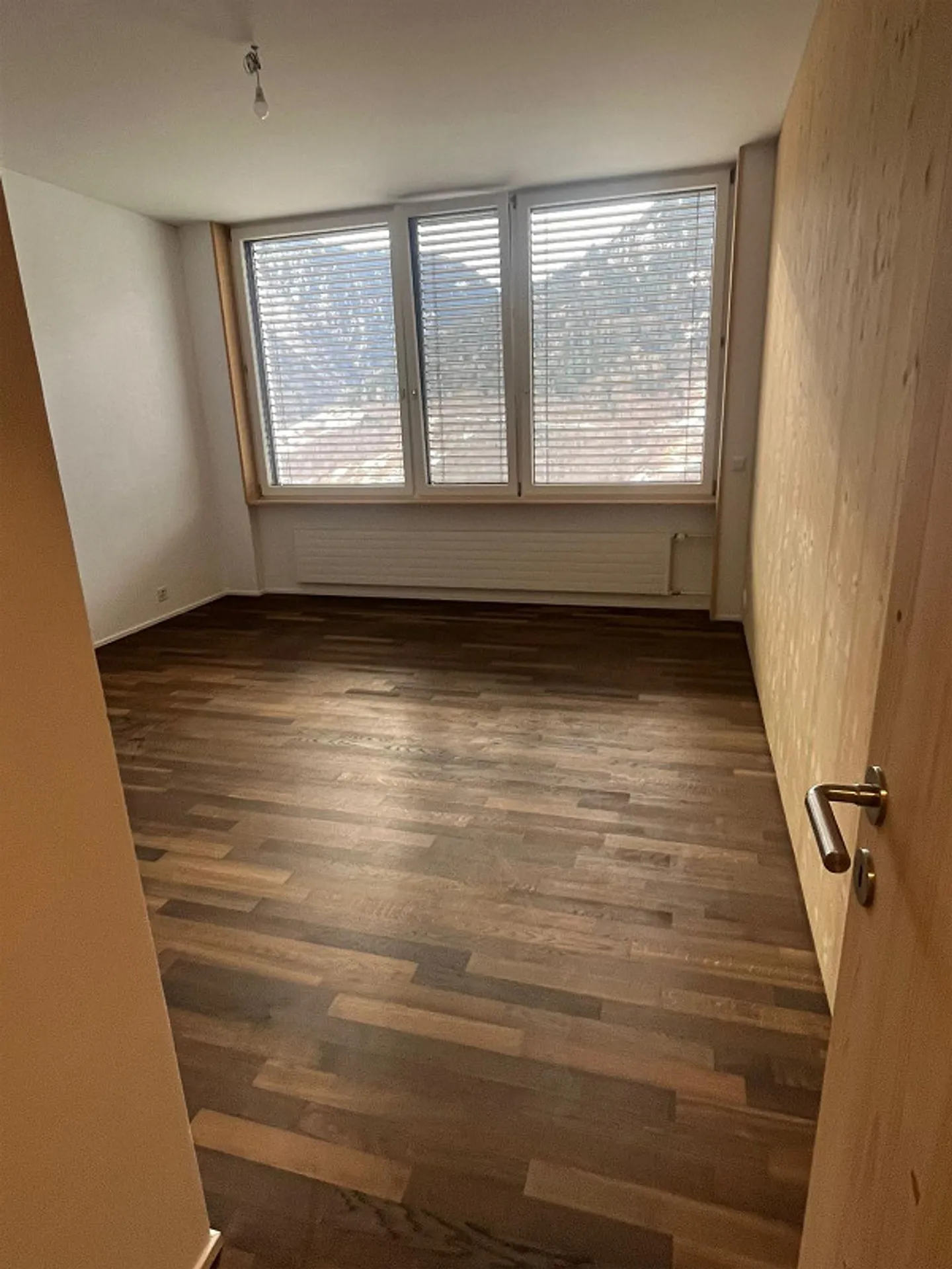 Spacious 5.5-room apartment in a quiet and central location - Photo 3 of 11