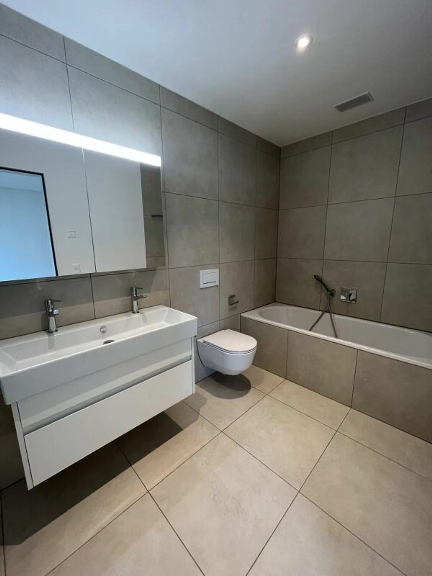 Vivere desiderabile sul Reno - La tua opportunità unica! - Foto 12 di 12