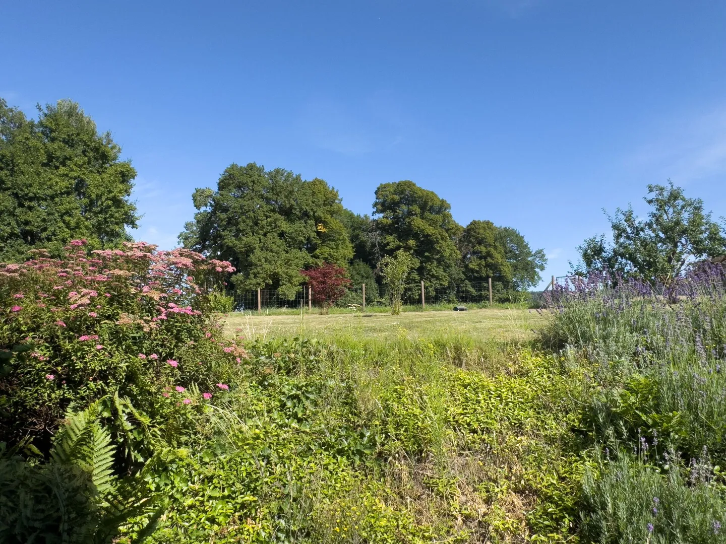 Casa unifamiliare a schiera di 6,5 stanze con vista splendida nella migliore zona residenziale - Foto 31 di 38