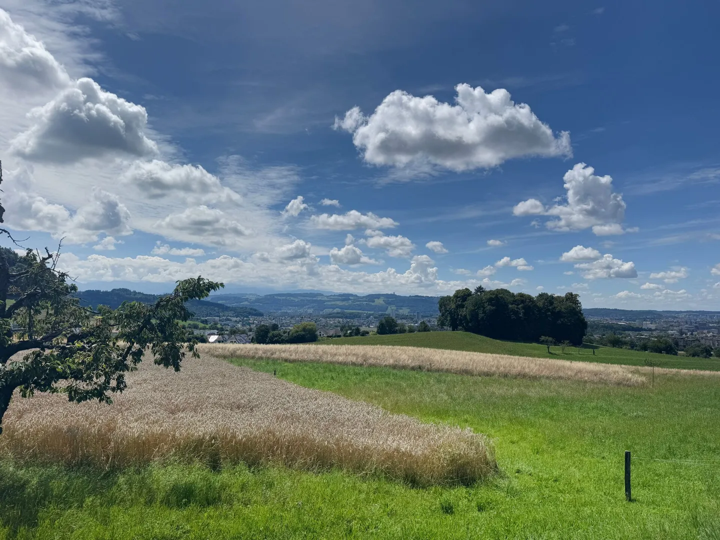 Casa unifamiliare a schiera di 6,5 stanze con vista splendida nella migliore zona residenziale - Foto 36 di 38