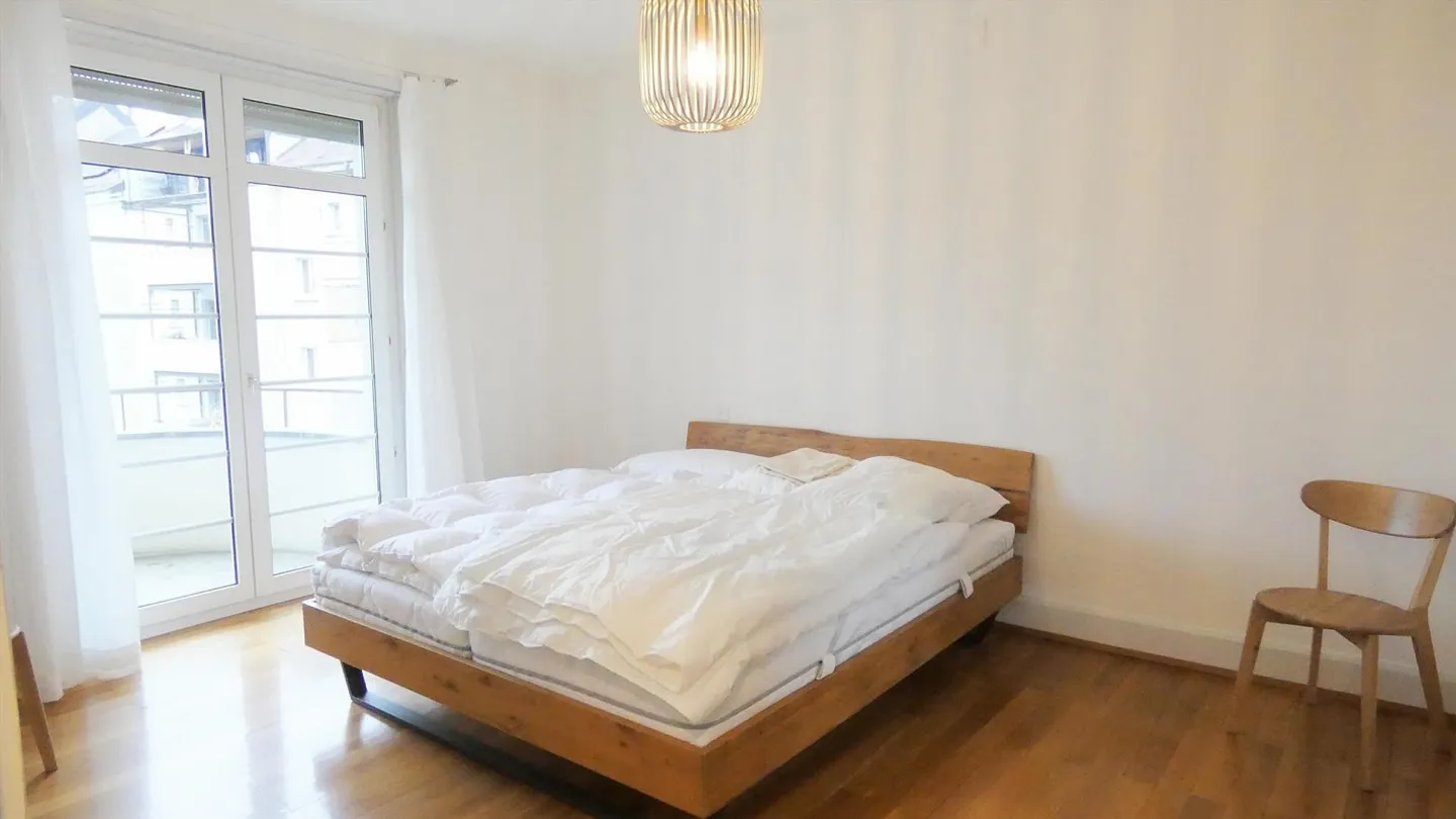 Charming 3.0 Room Apartment in Basel - Photo 6 of 9