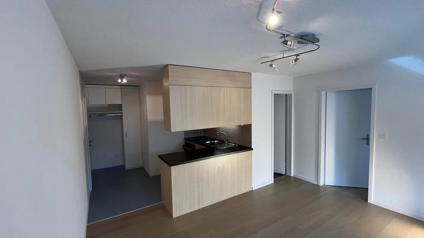 Gemütliche Wohnung im Appenzellerland - Foto 1 von 17