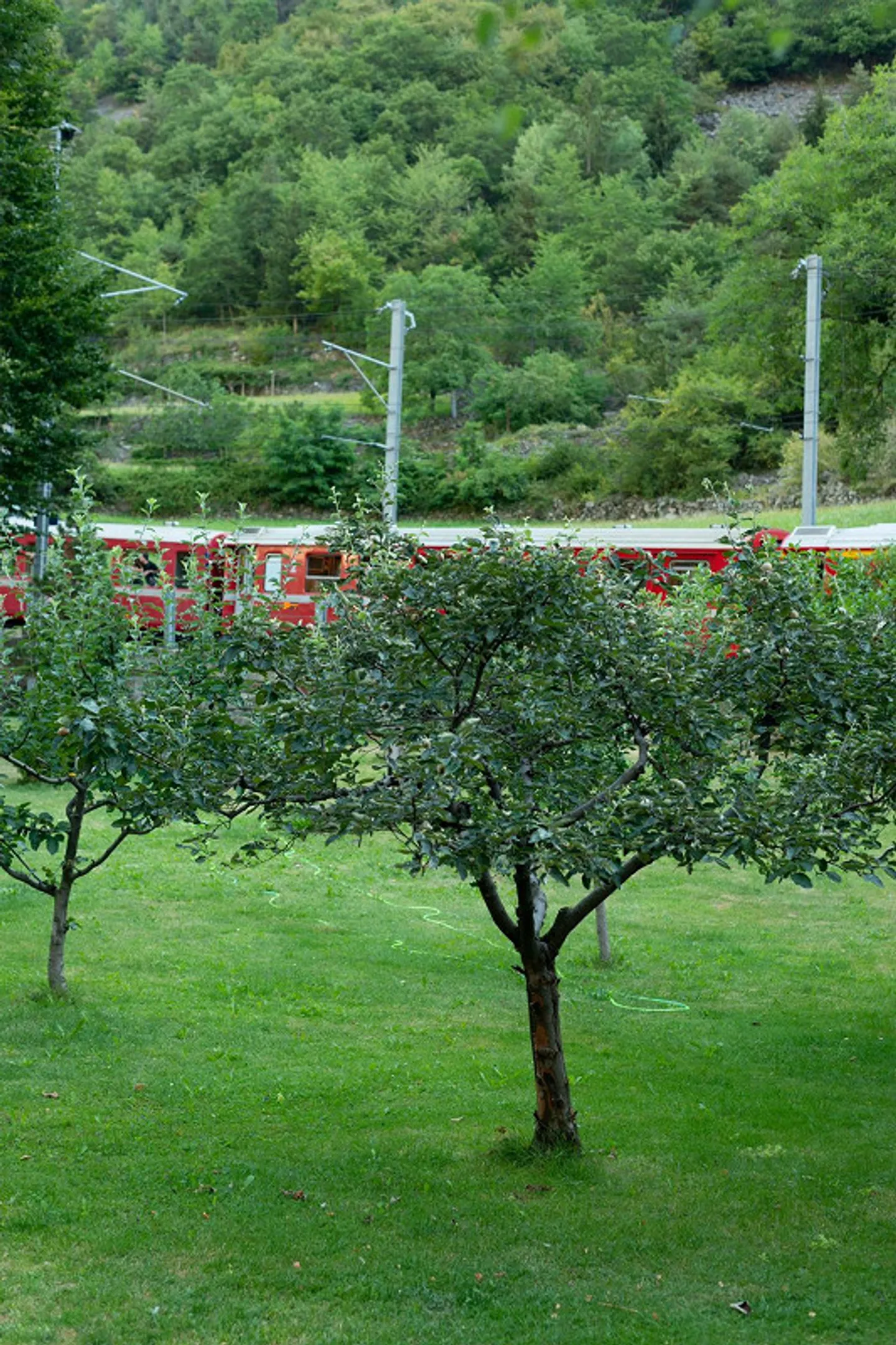 Villa individuelle avec espace commercial spacieux à Brusio - Photo 3 sur 12