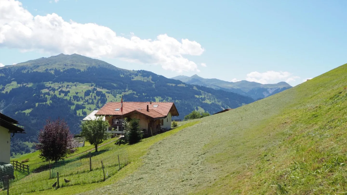 Individualisierbares Einfamilienhaus im Prättigau - Foto 4 von 6