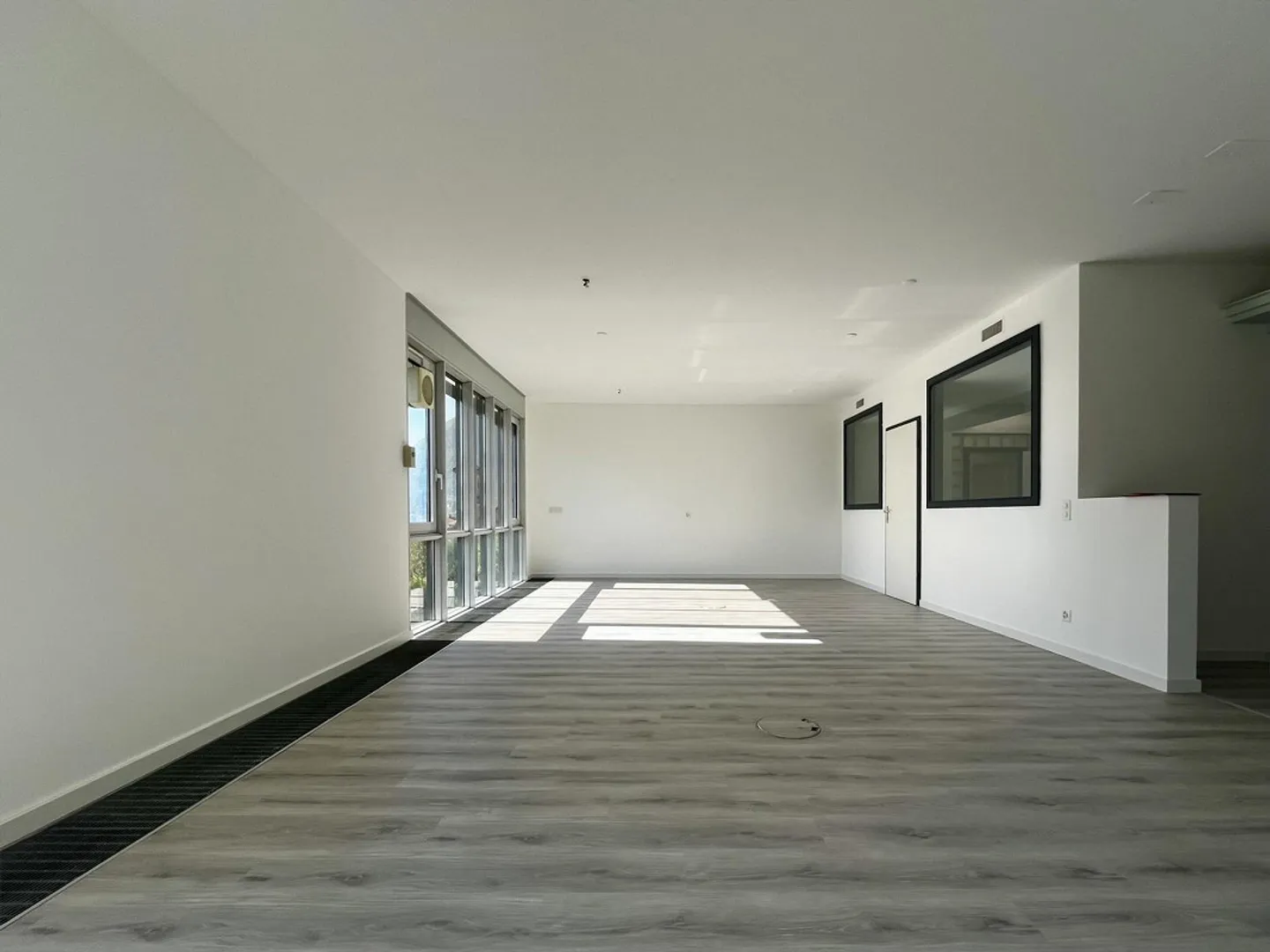 LUGANO - SPACIOUS OFFICE FOR RENT WITH LAKE VIEW OF 217 SQM - Photo 2 of 10