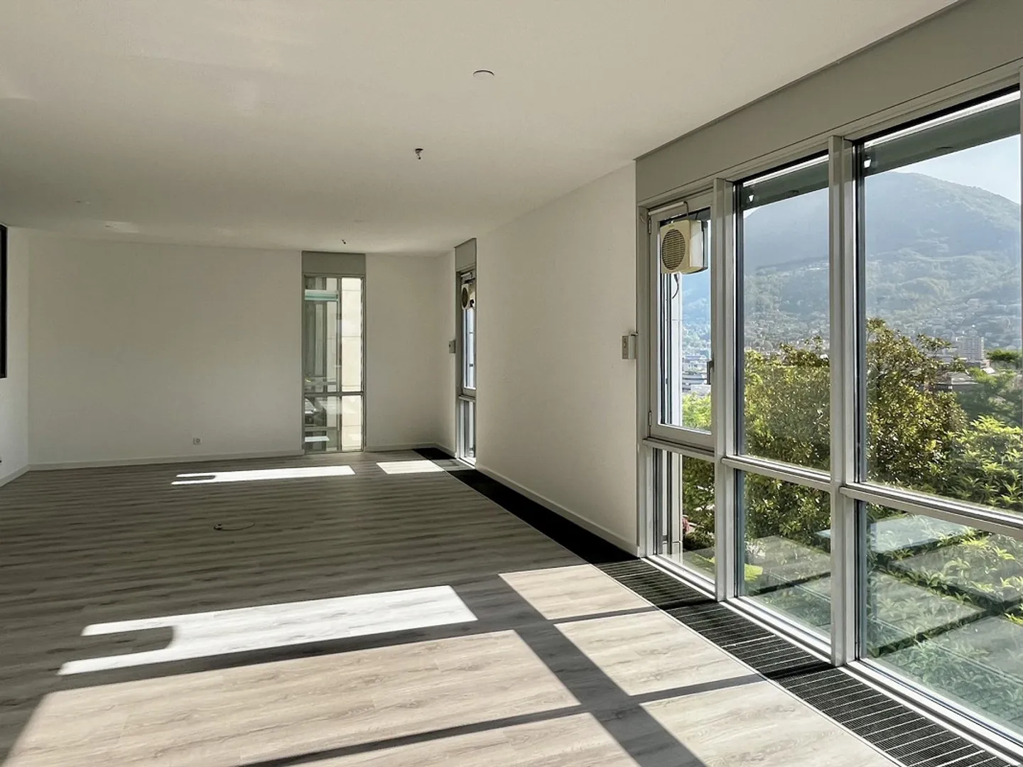 LUGANO - SPACIOUS OFFICE FOR RENT WITH LAKE VIEW OF 217 SQM - Photo 3 of 10
