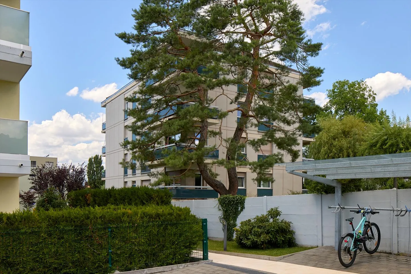 3.5 Room Apartment - Photo 2 of 3