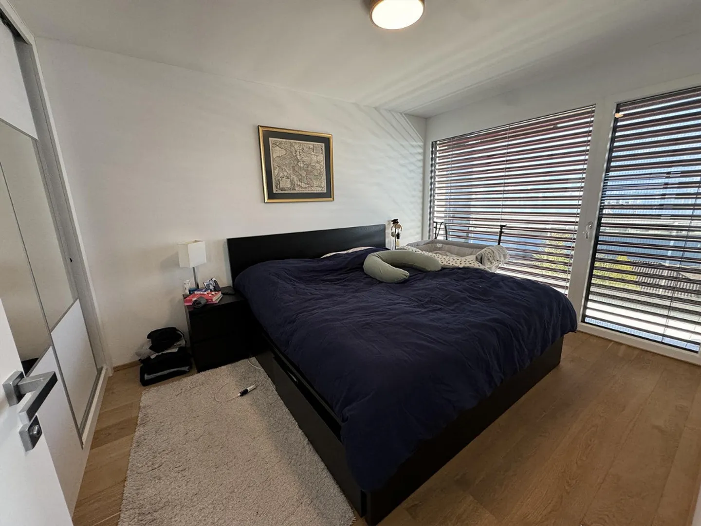 Modern Luxurious 2.5 Rooms Lake View in Melide - Photo 23 of 28