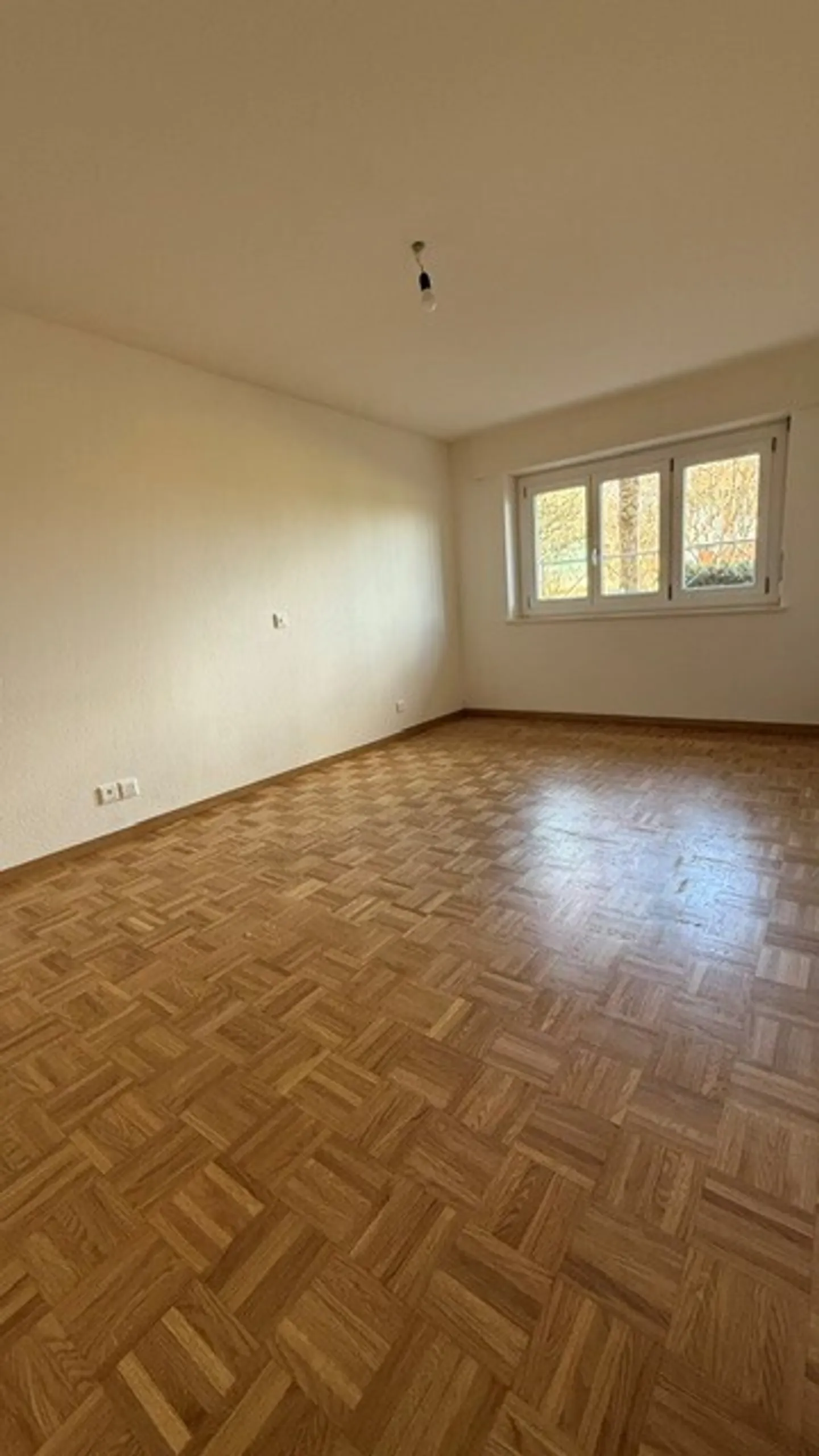 Appartamento di 4,5 locali di circa 100 m2 al piano terra con terrazza - Foto 7 di 8