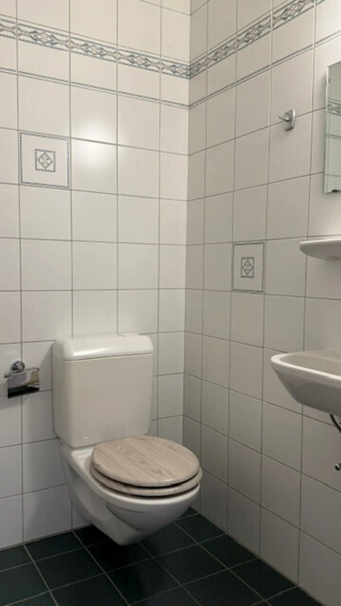 Appartamento di 4,5 locali di circa 100 m2 al piano terra con terrazza - Foto 8 di 8