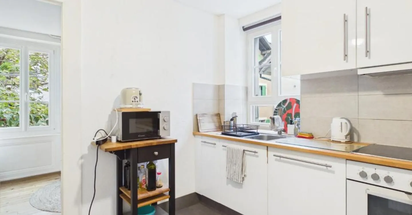 Renovation Opportunity in Lausanne - Photo 7 of 12