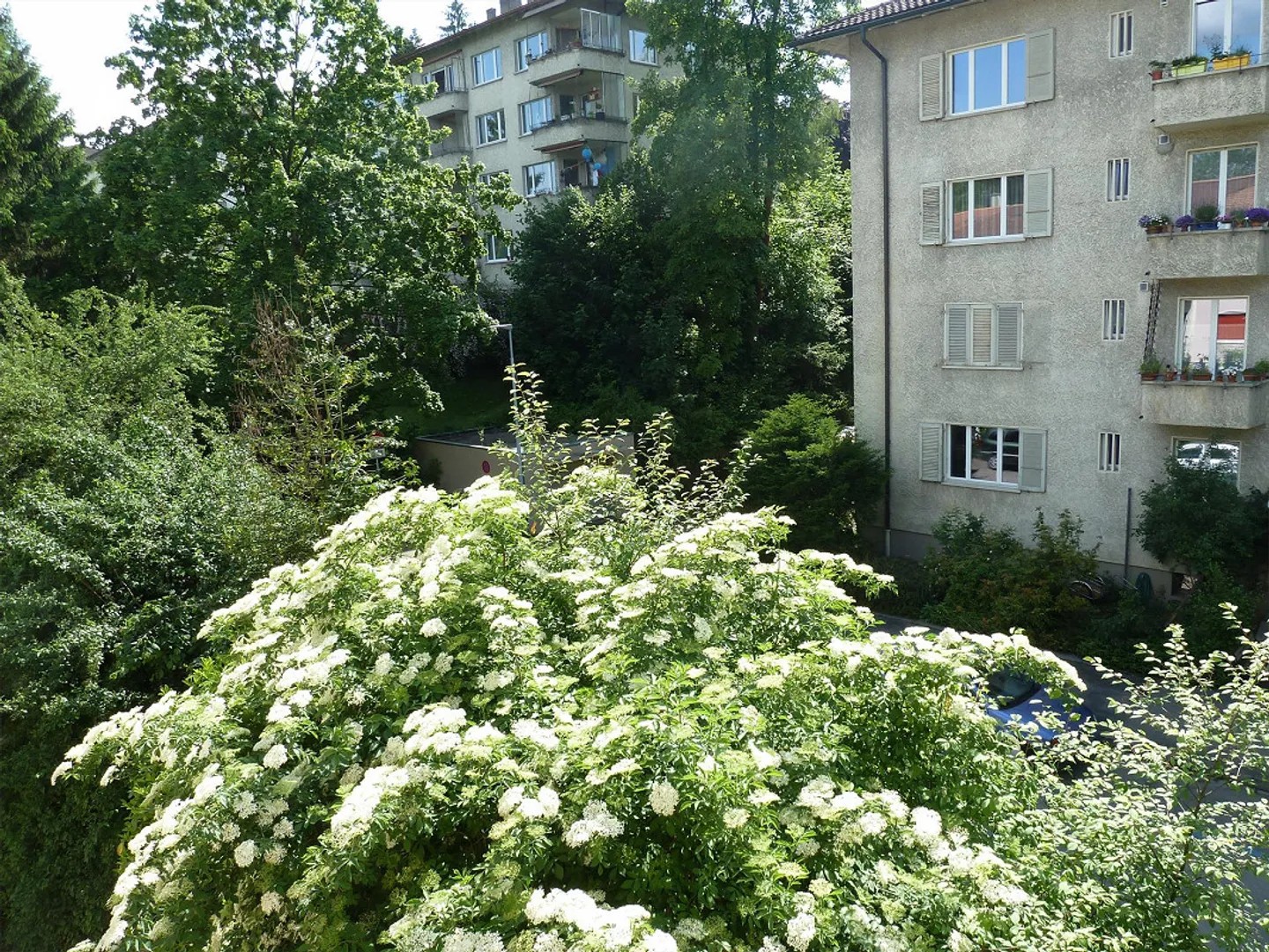 Accogliente appartamento di 2,5 stanze vicino all'Aare - Foto 7 di 12