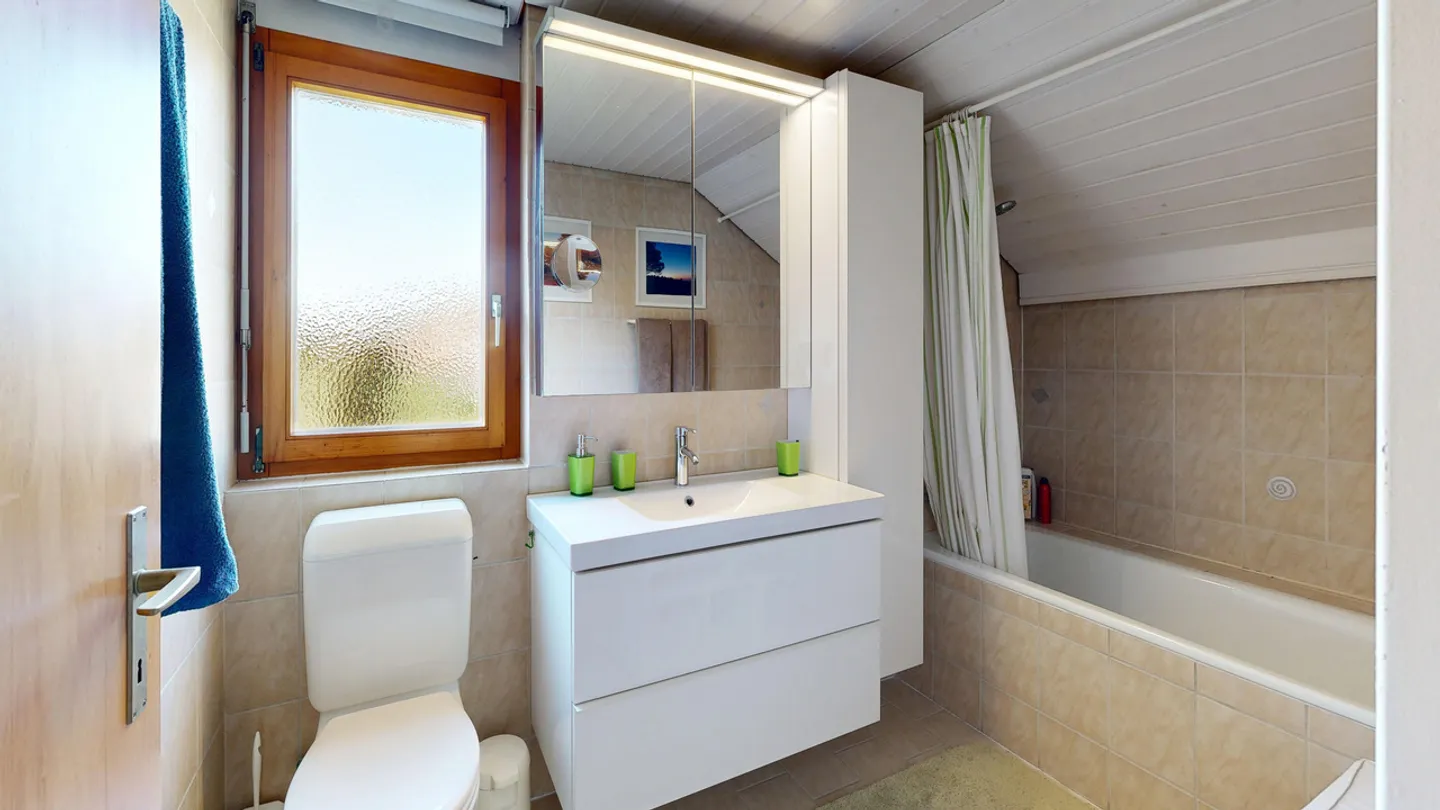 Charming, detached 7.5-room single-family house with carport - Photo 10 of 21