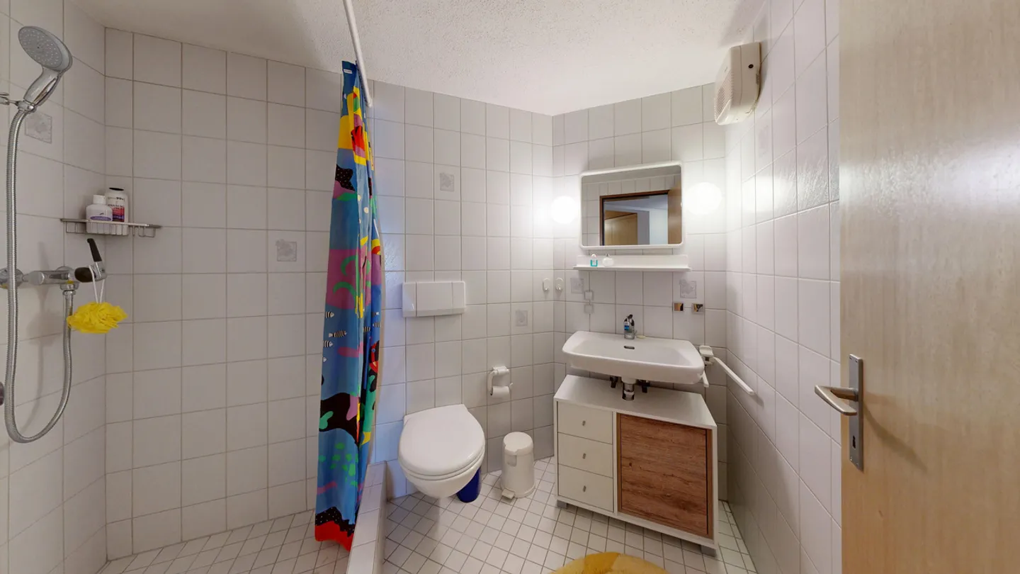 Charming, detached 7.5-room single-family house with carport - Photo 18 of 21