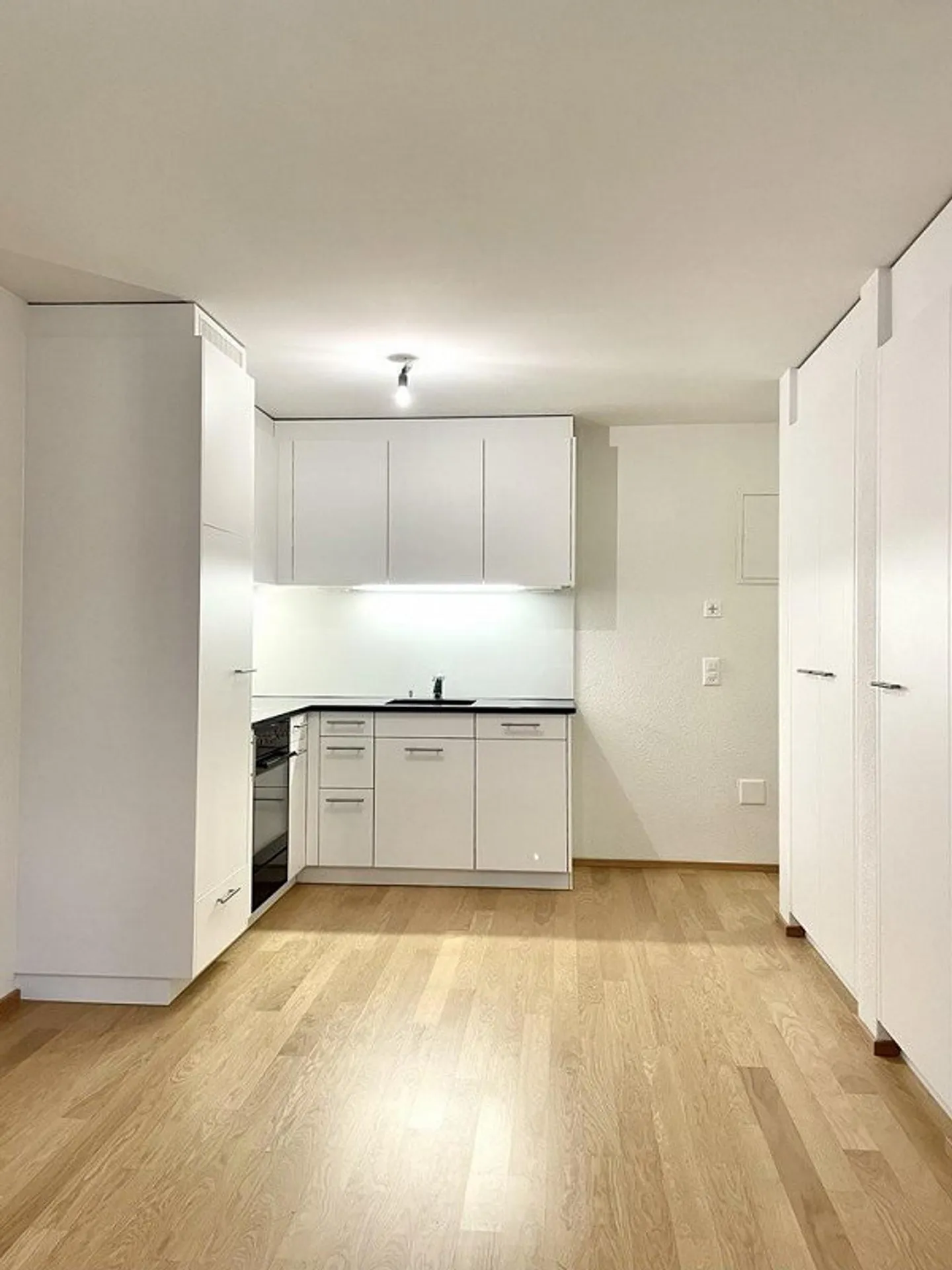 Top modern apartment in Seefeld - Zurich District 8 - Photo 3 of 10