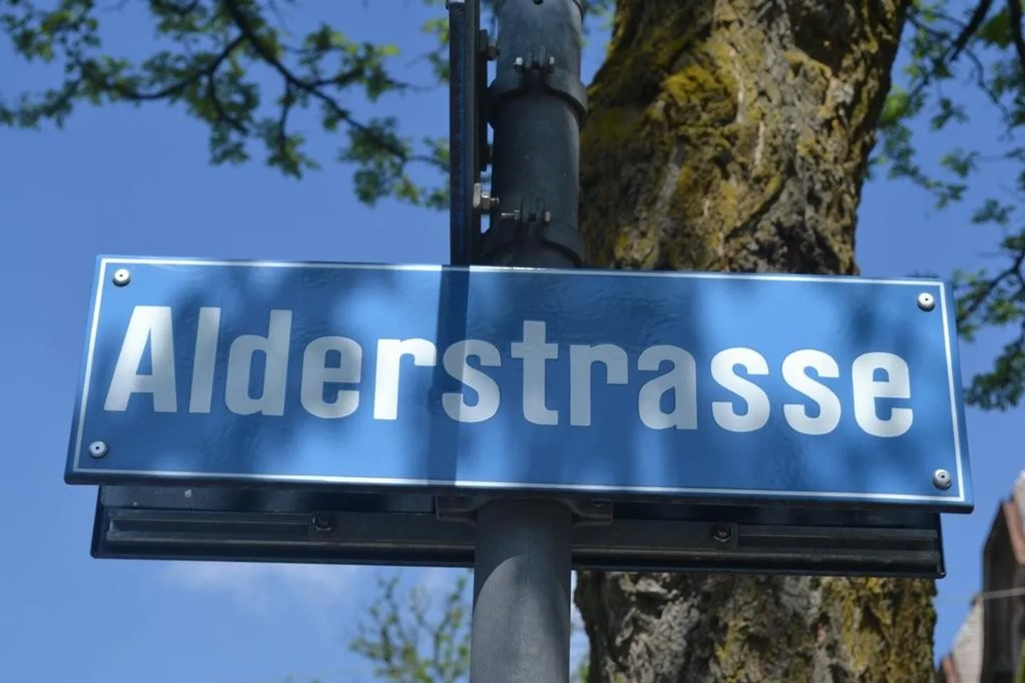 Top modern apartment in Seefeld - Zurich District 8 - Photo 1 of 10